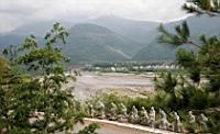 IMG_7260.JPG