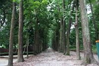 IMG_7278.JPG