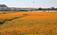 IMG_7560.JPG