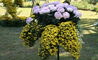 IMG_7660.JPG