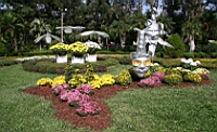 IMG_7681.JPG