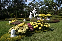 IMG_7682.JPG