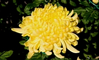 IMG_7685.JPG