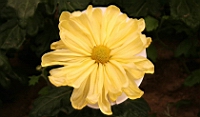 IMG_7693.JPG