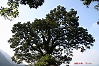 IMG_7815.JPG