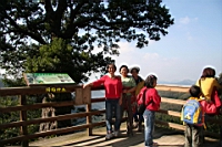 IMG_7816.JPG