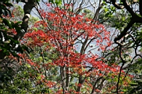 IMG_7817.JPG