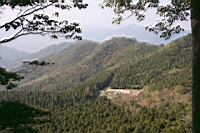 IMG_7819.JPG