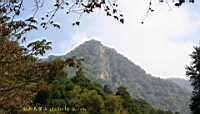 IMG_7825.JPG