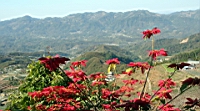 IMG_7846.JPG