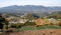 IMG_7847.JPG