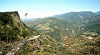 IMG_7854.jpg