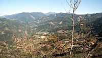 IMG_7855.JPG