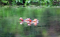 IMG_7890.JPG