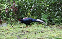 IMG_7897.JPG