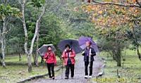 IMG_7902.JPG