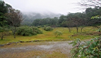IMG_7908.JPG