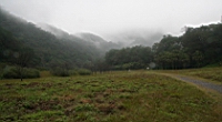 IMG_7910.JPG