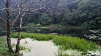 IMG_7912.JPG