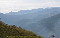 IMG_7931.JPG