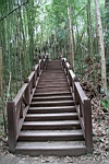 IMG_7940.JPG