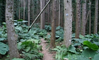 IMG_7941.JPG