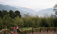 IMG_7955.JPG