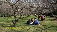 IMG_8131.JPG