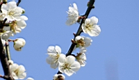 IMG_8142.JPG