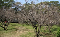 IMG_8157.JPG