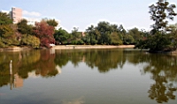 IMG_8160.JPG