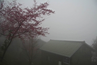 IMG_8186.JPG