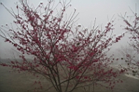 IMG_8190.JPG