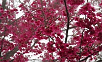 IMG_8192.JPG