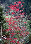 IMG_8253.JPG