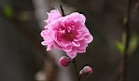 IMG_8264.JPG