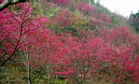 IMG_8269.JPG