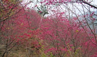 IMG_8272.JPG