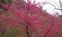 IMG_8277.JPG