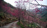 IMG_8278.JPG