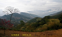 IMG_8285.JPG
