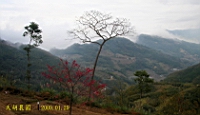 IMG_8286.JPG