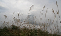 IMG_8298.JPG
