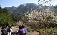IMG_8312.JPG