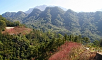 IMG_8316.JPG