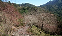 IMG_8320.JPG