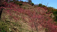 IMG_8321.JPG