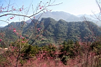 IMG_8325.JPG