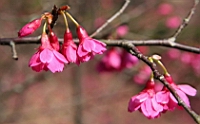 IMG_8326.JPG