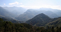 IMG_8340.JPG